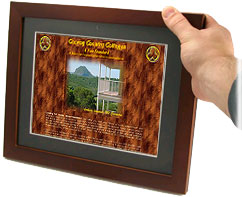 website - click to open in new window