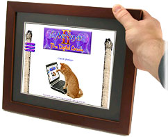 website - click to open in new window