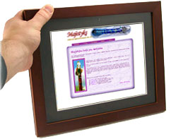 website - click to open in new window