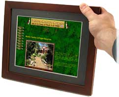 website - click to open in new window